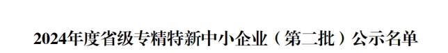 省級殊榮！江蘇迅鐳榮獲2024年度“江蘇省專精特新中小企業(yè)”稱號！(圖4)