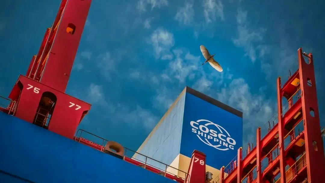 中國(guó)遠(yuǎn)洋海運(yùn)(圖3)